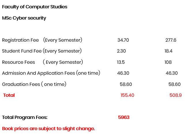 MSc Cyber security -2.JPG