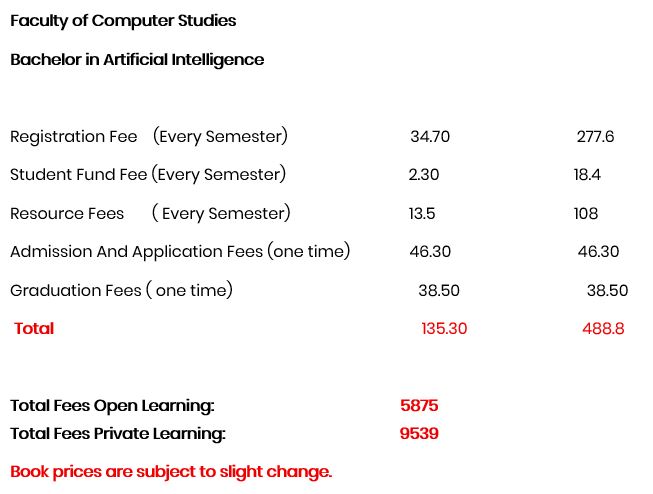 Bachelor in Artificial Intelligence-2.JPG