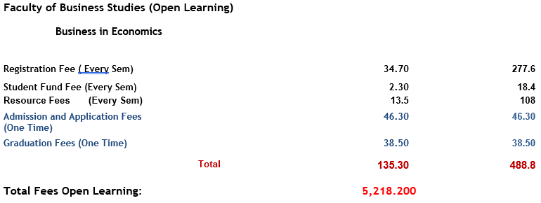 Business in Economics Open.PNG