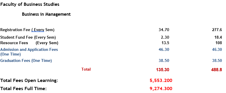 Business in Management.PNG