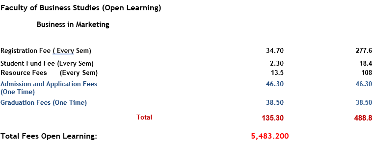Business in Marketing Open.PNG