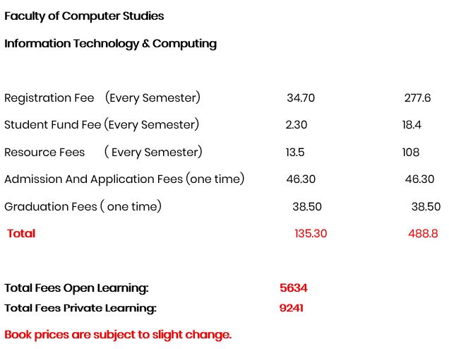 Information Technology & Computing.JPG